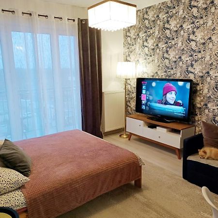 2-Room Apartment Новий-Двір-Мазовецький Екстер'єр фото